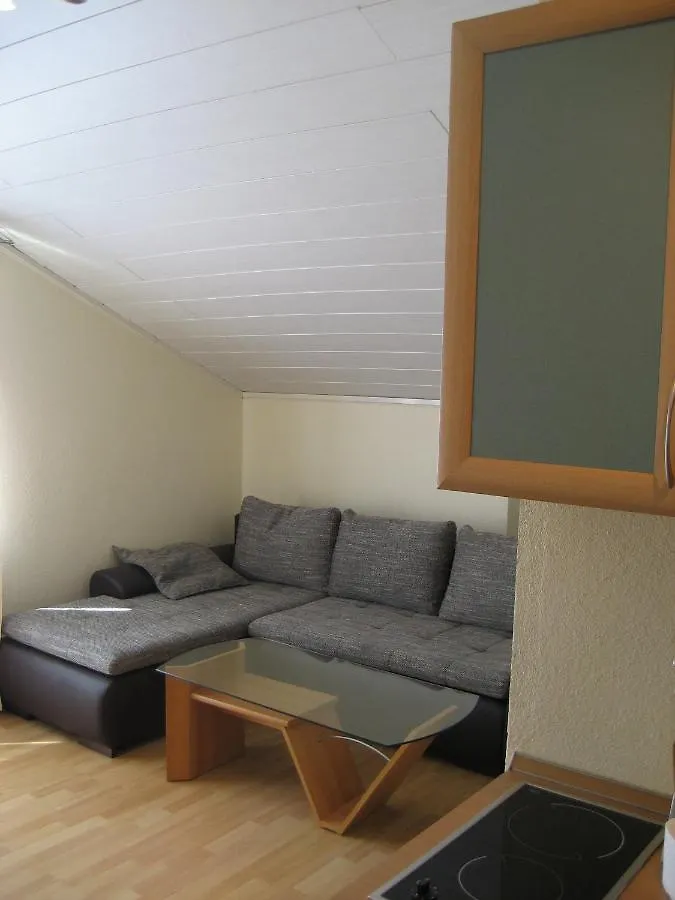 Villa „Drei Palmen“ Apartman Sveti Filip i Jakov